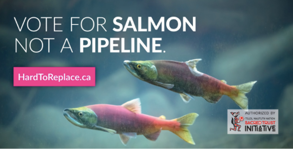 A billboard that says Vote for Salmon not a pipeline
